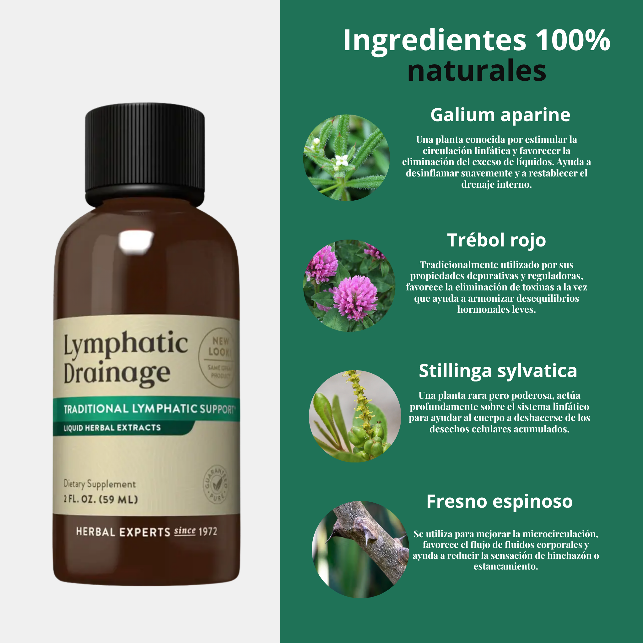 Drenaje Linfático Líquido -  Reduce la hinchazón y recupera tu silueta